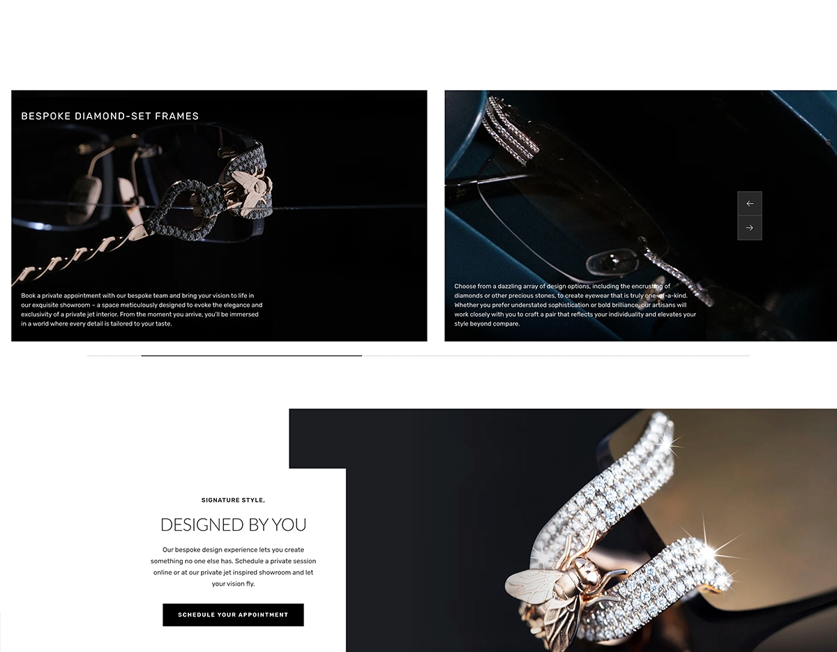 Image of custom image slider built for Flyspeck website